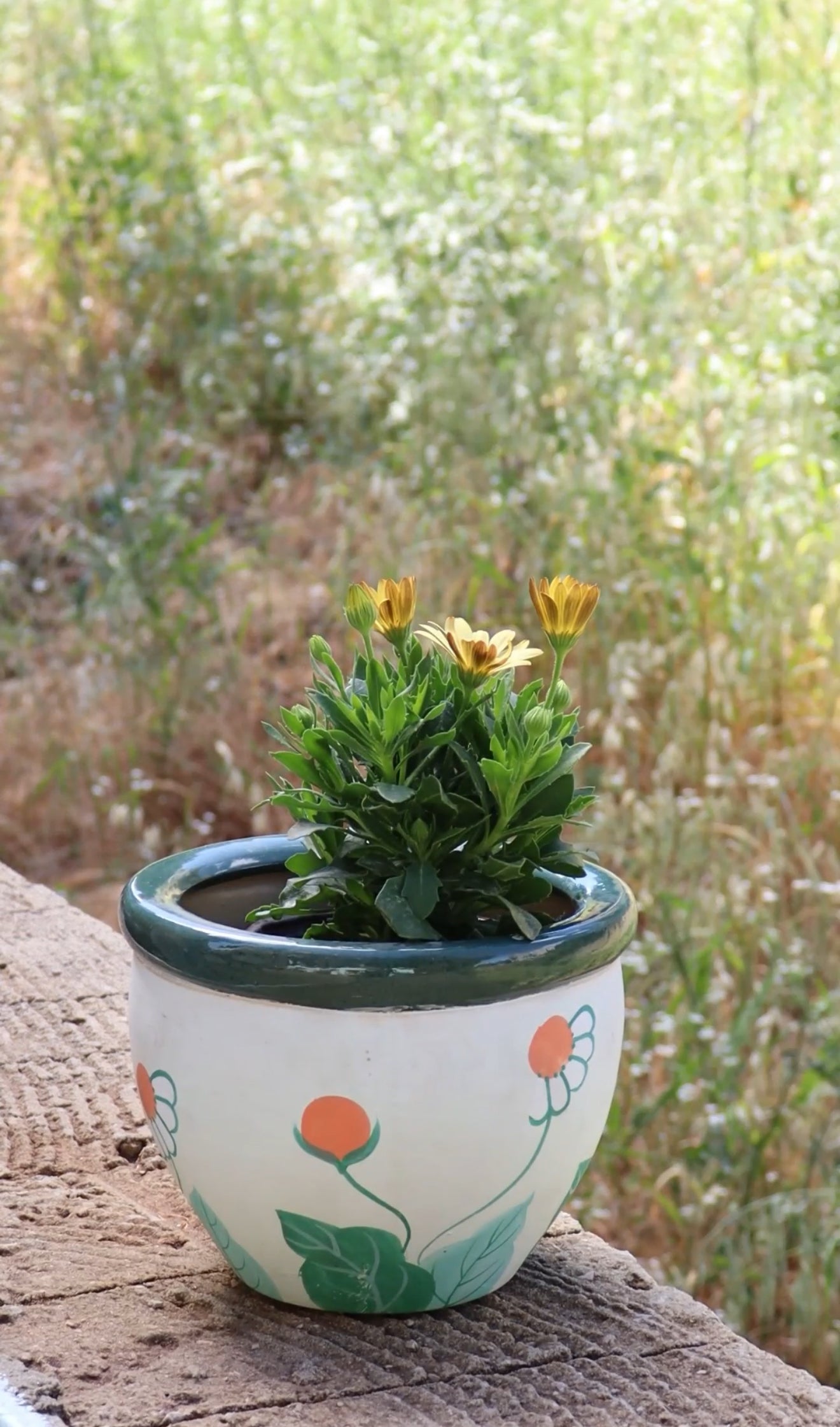 Colored vases - big