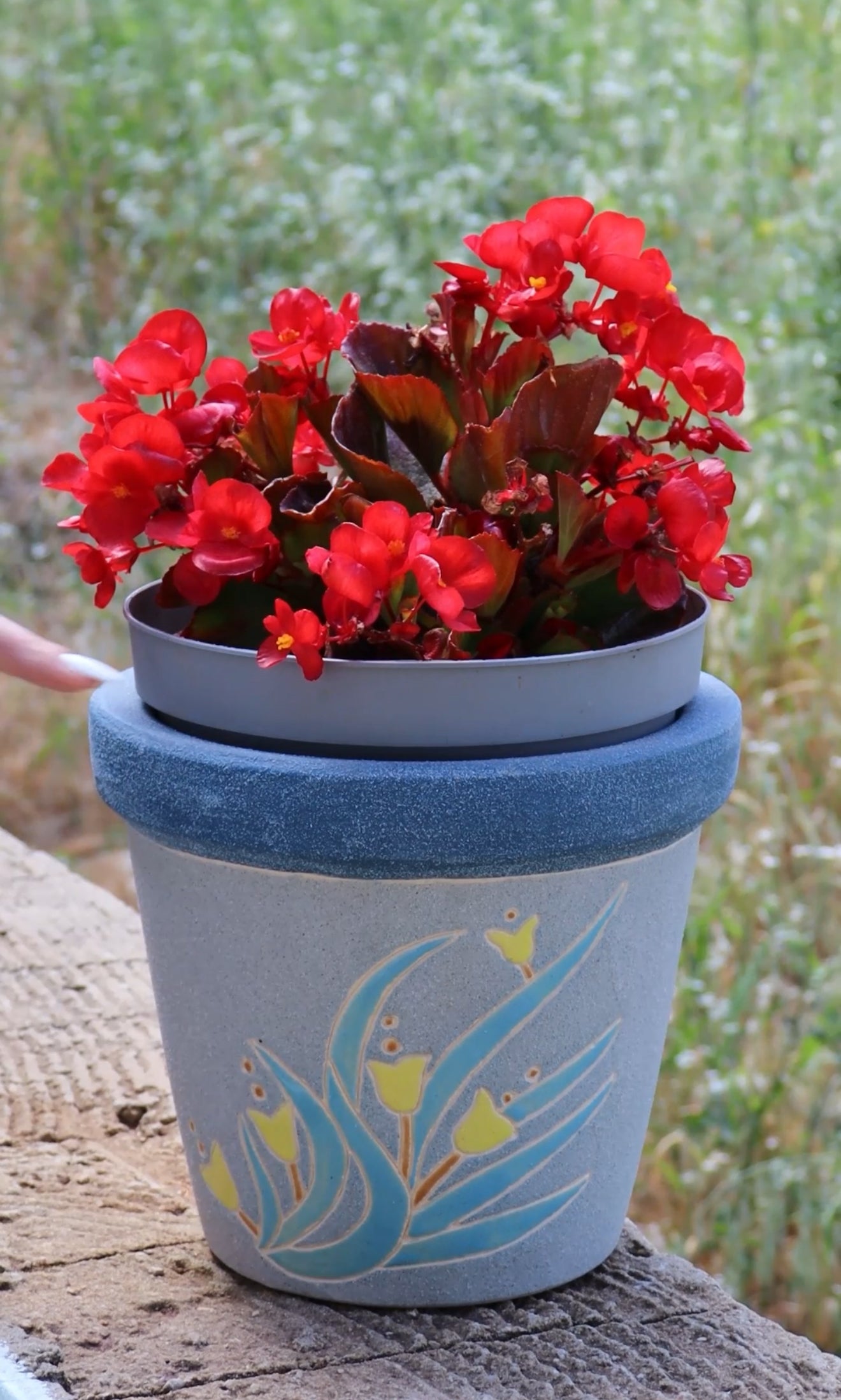 Colored vases - big