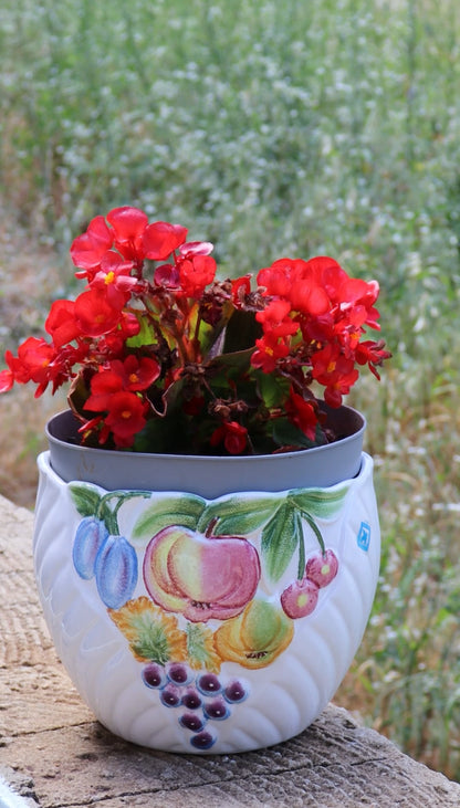 Colored vases - big
