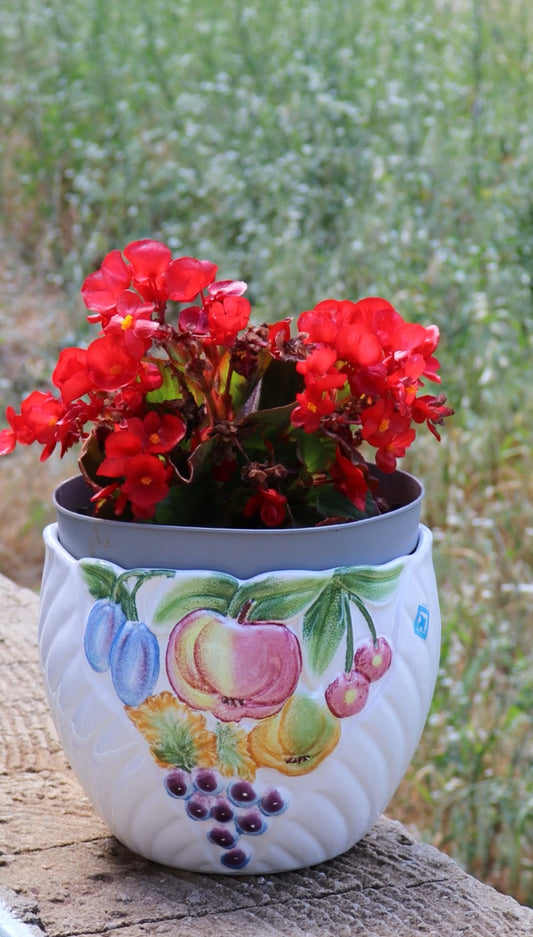 Colored vases - big