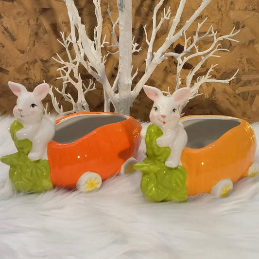 Rabbit Ridding bowl